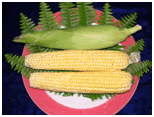 Hawaiian Corn
